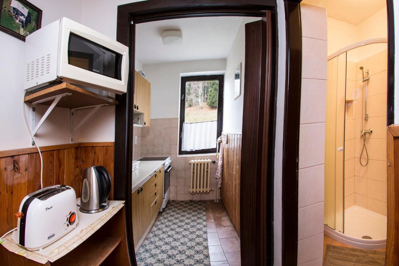 Apartman Braun Rokytnice nad Jizerou Ngoại thất bức ảnh