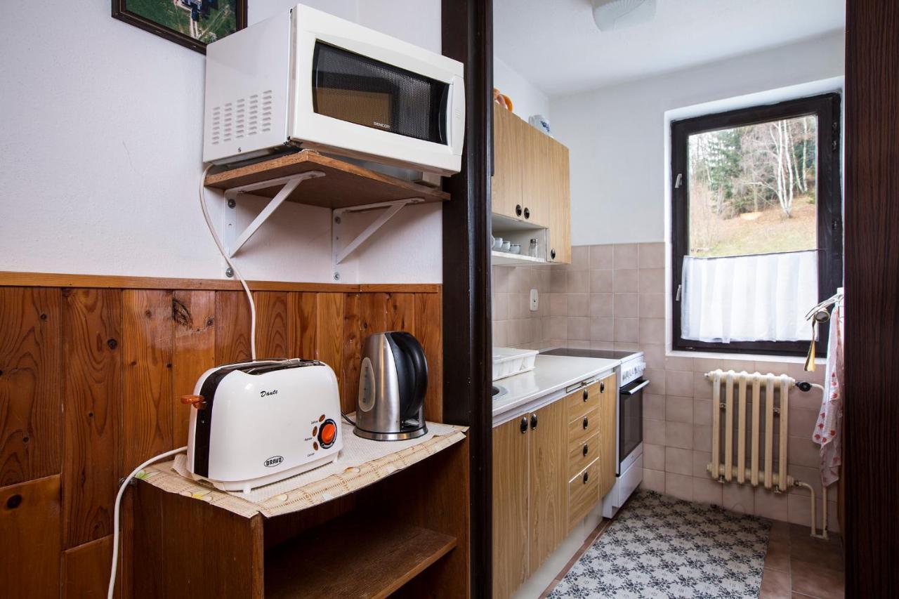 Apartman Braun Rokytnice nad Jizerou Ngoại thất bức ảnh