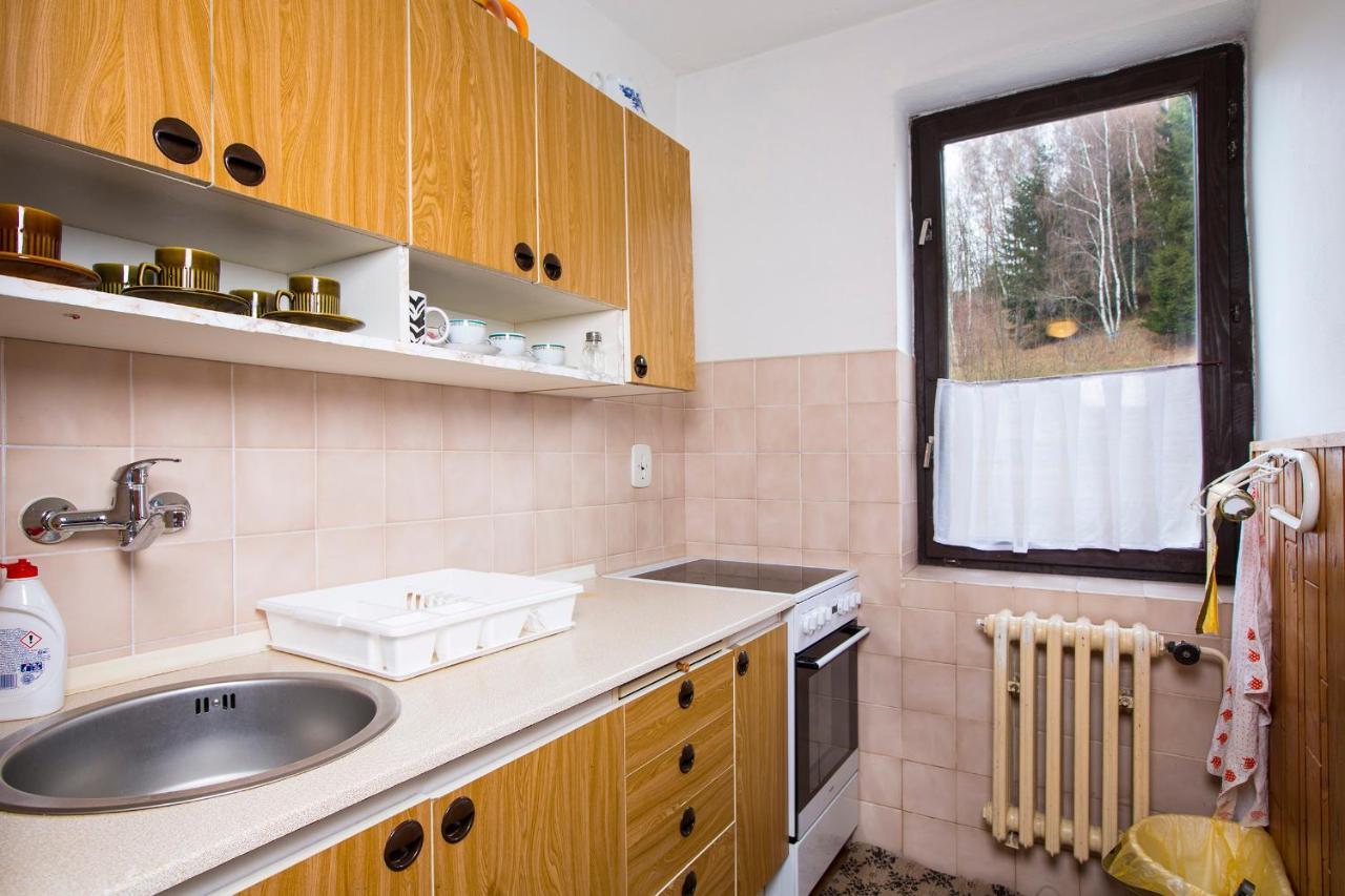 Apartman Braun Rokytnice nad Jizerou Ngoại thất bức ảnh